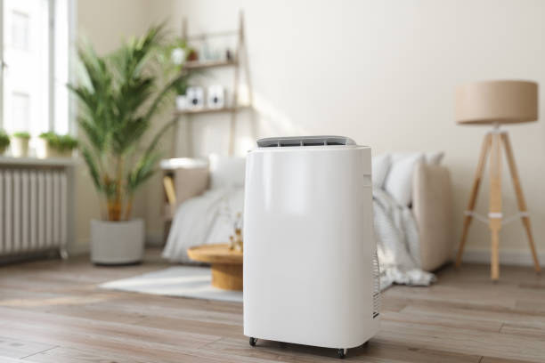 Best Local HVAC Companies  in Hart, MI